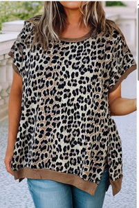 Leopard Contrast Trim Short Sleeve Top